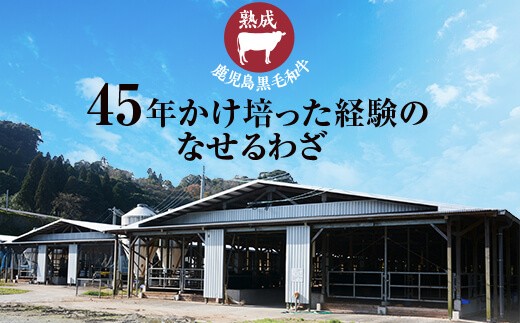 HS-104 鹿児島県産黒毛和牛ｻｰﾛｲﾝｽﾃｰｷ･すき焼きBｾｯﾄ 名産鹿児島和牛かんだ本店
