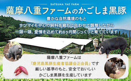 AS-508 【訳あり】黒豚農場薩摩八重ファームのかごしま黒豚ミンチ 2kg SDGs未来都市薩摩川内