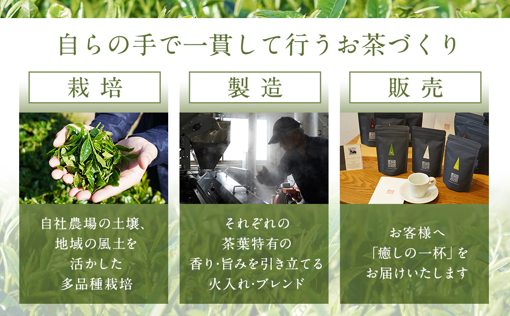 ASR-822 スオセ假スシセ橸セセ呻スセスッセ#3 (縺願幻9遞ョスセスッセ)