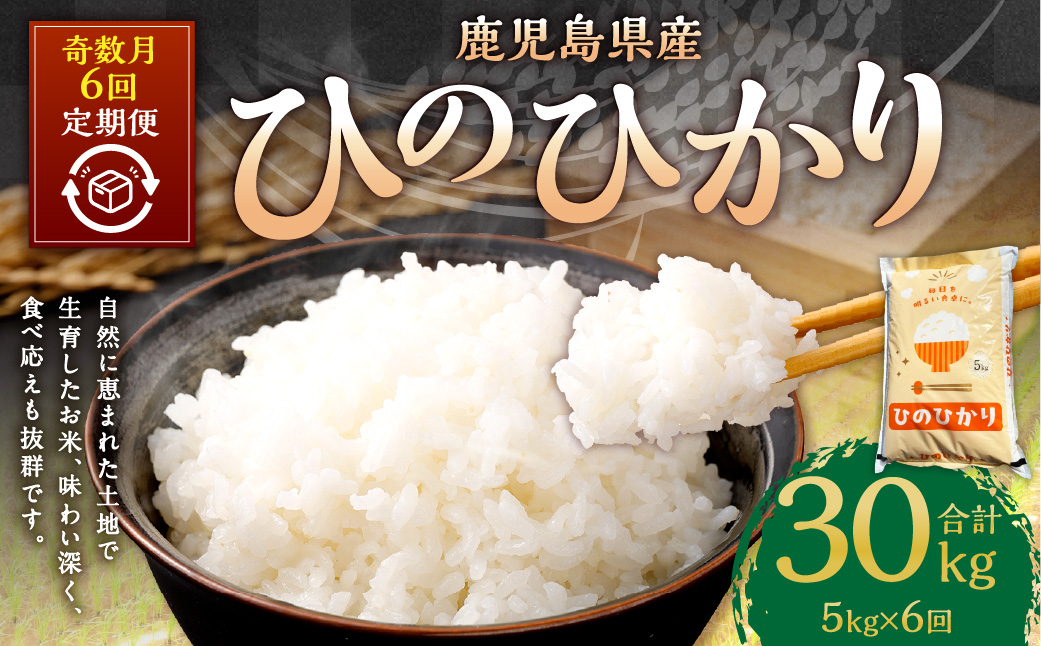 【奇数月6回定期便】【新米先行予約】【KODAMAFARMS】ひのひかり 5kg（計30kg） KODA米 米 新米 精米 白米 お米 【2026年1月以降 奇数月に順次発送】GS-612