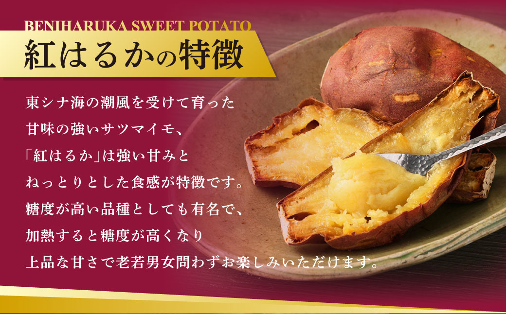 Z-593 鮖ソ蜈仙ウカ逵檎肇邏縺ッ繧九°蜀キ蜃咲┥縺崎葛 テ3陲