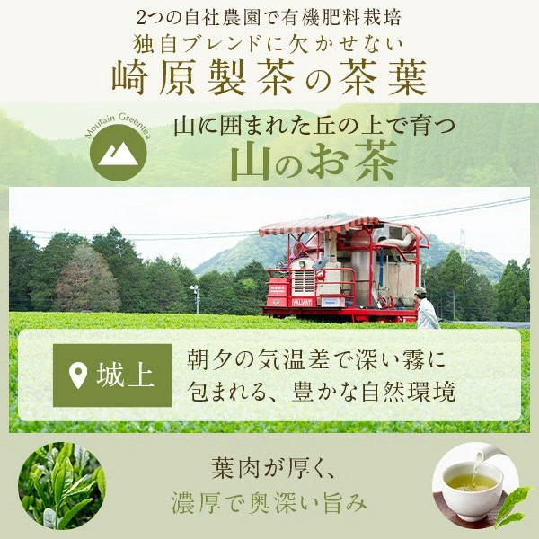 DS-303 崎原製茶 川内ほまれ【金】煎茶 計1kg（100g×10パック）
