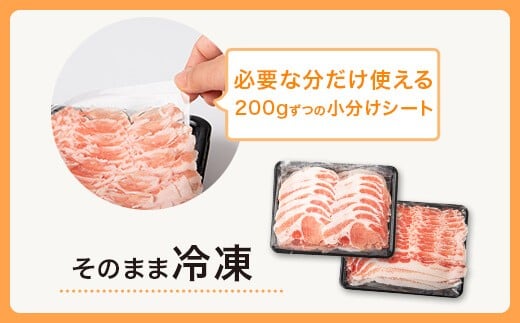 BSR-603 鹿児島県産黒豚しゃぶしゃぶロース・バラセット 各700g 合計1.4kg 約8人前