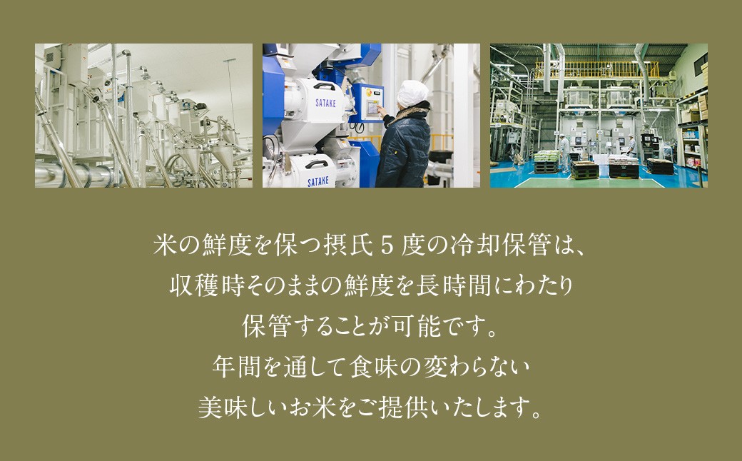 【6回定期便】 鹿児島県産 銘柄米 ブレンド 薩摩うんまか米 （15kg×6回） 定期便 ブレンド米 白米 米 お米 おこめ KSR-502