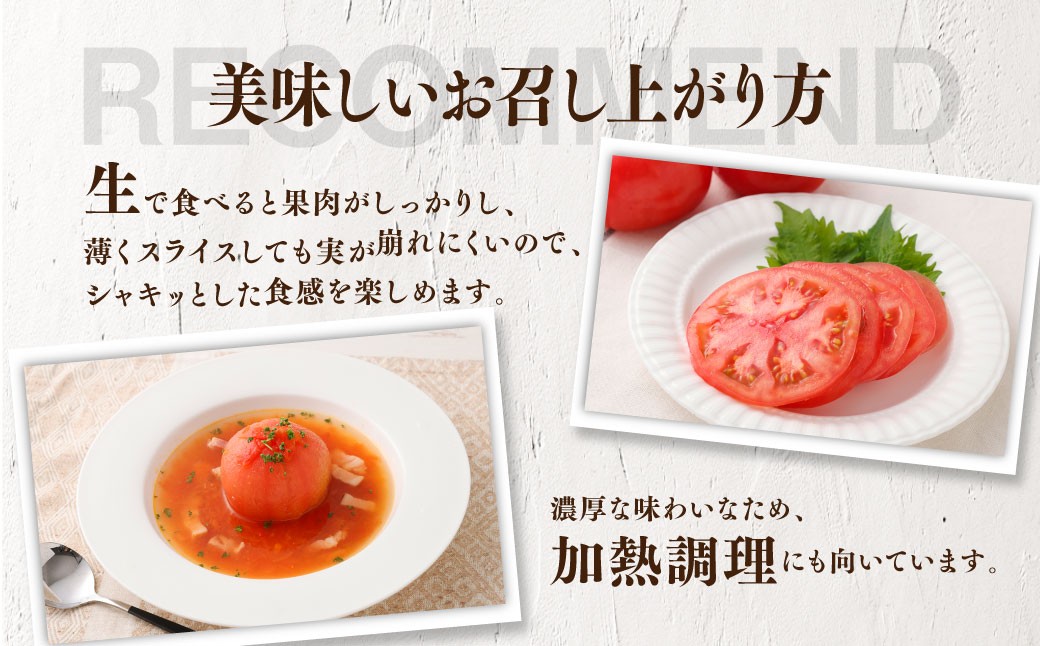 訳ありトマト 8～14玉 （約2kg）【2027年1月中旬～5月下旬発送予定】 トマト 訳あり とまと 野菜 新鮮 新鮮野菜 ZS-995