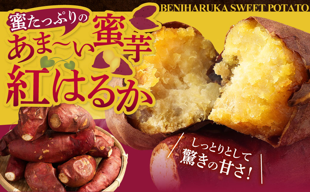 Z-593 鮖ソ蜈仙ウカ逵檎肇邏縺ッ繧九°蜀キ蜃咲┥縺崎葛 テ3陲