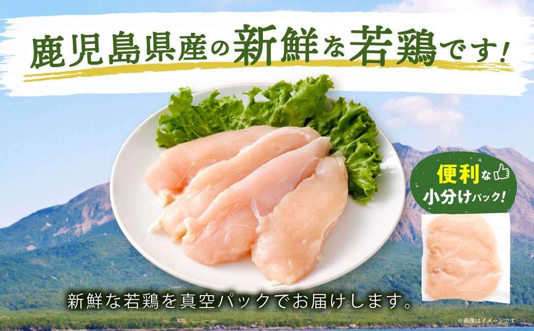 鮖ソ蜈仙ウカ逵檎肇 闍・鮓 縺輔&縺ソ 邏5kg 繧サ繝繝 繧ォ繝繝 蟆丞縺 鮓剰i 蜀キ蜃 BS-3100