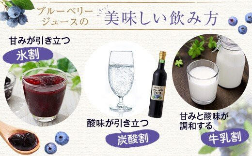 AS-309 【数量限定】ブルーベリージュース果汁100% 400g（100g×4本） (B-24)