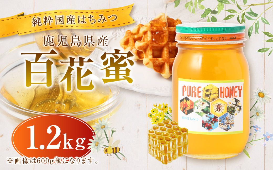 【純粋国産はちみつ】鹿児島県産 百花蜜 1.2kg 上野養蜂えん ハチミツ はちみつ はち蜜 蜂蜜 国産 BS-3204