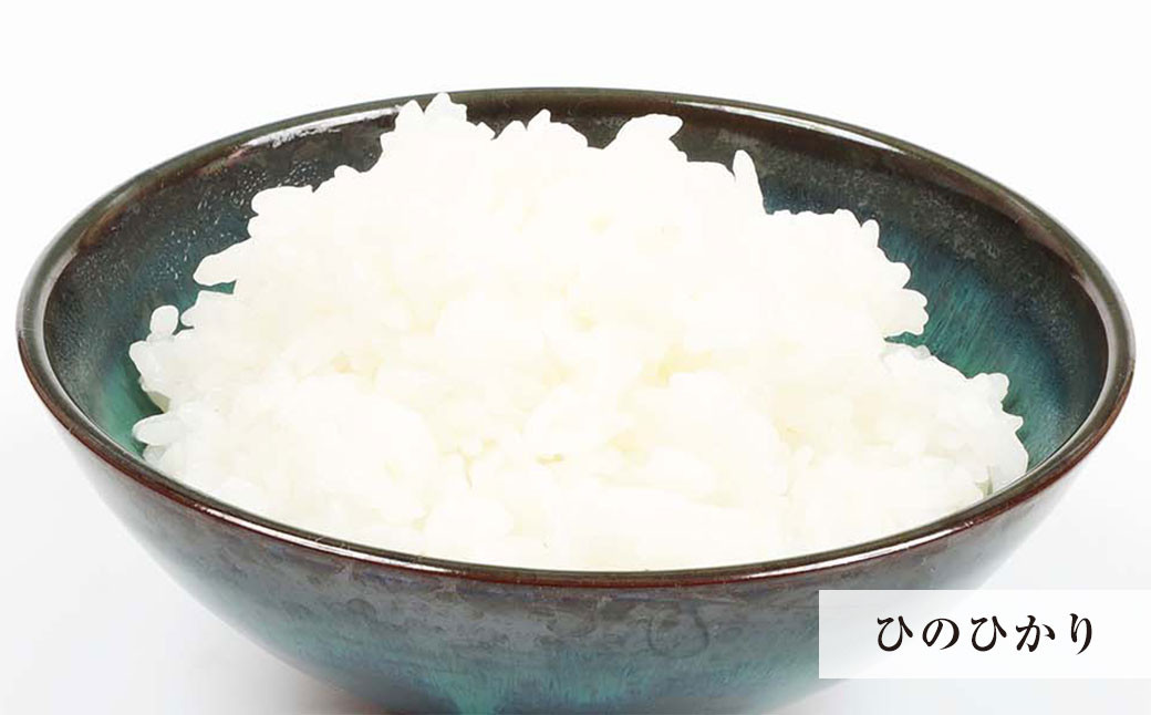 DS-905 【3ヶ月定期便】 鹿児島県産ひのひかり 5kg ･ 3種の炊き込みご飯の素セット