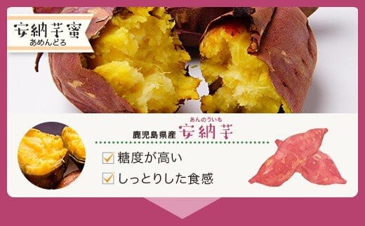 ZS-505 安納芋蜜 フィナンシェ 10本入  焼き菓子 安納芋