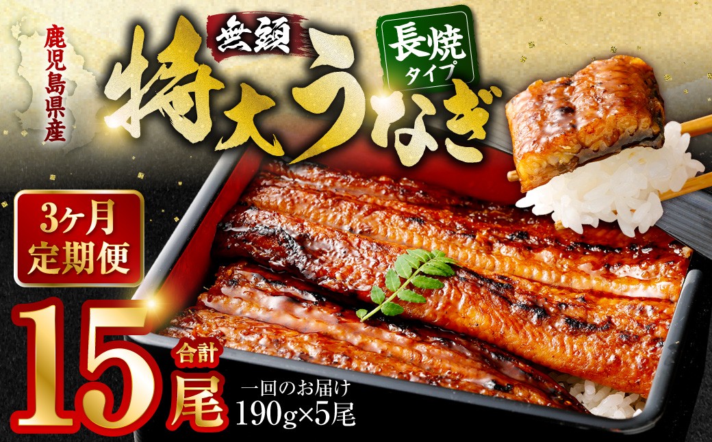 JS-224【3ヶ月定期便】鹿児島県産無頭特大うなぎ蒲焼約190g×5尾×3回