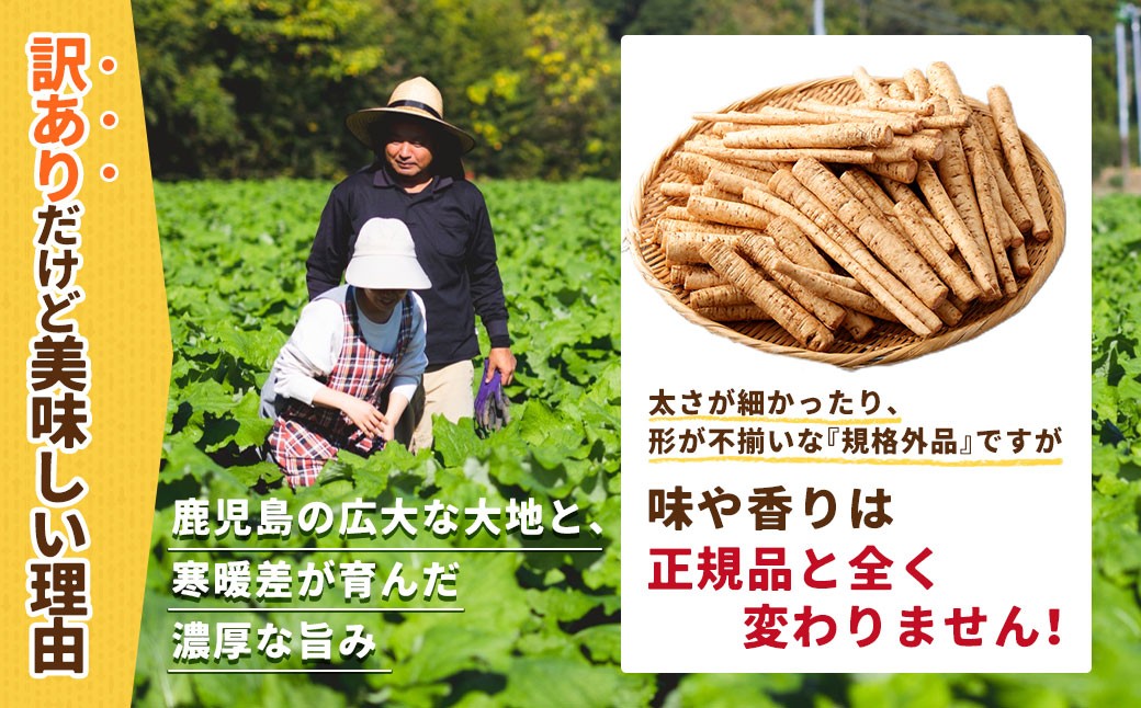 鹿å
å³¶çç£ æŽãã倪ãã ããŒã çŽ5kg ãèŠæ Œå€ã»èš³ããåãã2026幎12æäžæ¬-3æäžæ¬çºéäºå®ã AS-4115