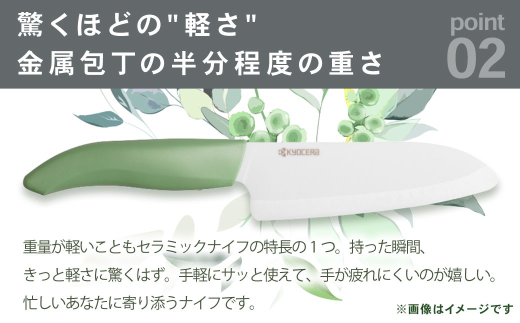 ã京ã»ã©ã ã»ã©ãã㯠ãã€ãªã«ã©ãã«ãã€ã ããŒãžã¥ 14cm äžåŸ³å
äž å
äž ãã€ã AS-5114