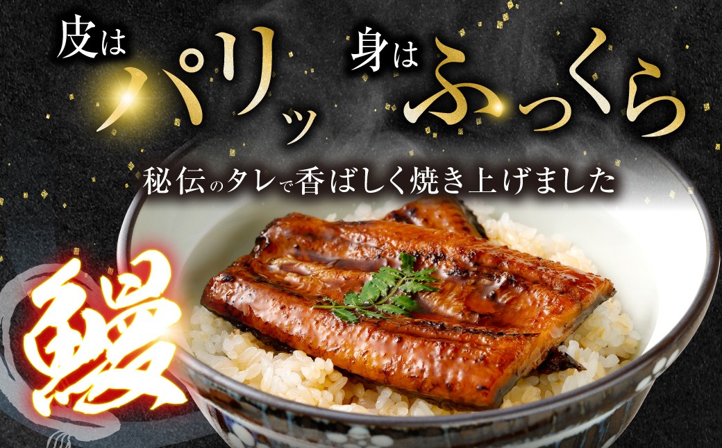 AS-840 鹿å
å³¶çç£ç¡é ç¹å€§ããªãè²çŒçŽ190gÃ2å°ŸãåèšçŽ380g é£ã¹ããããã2人å