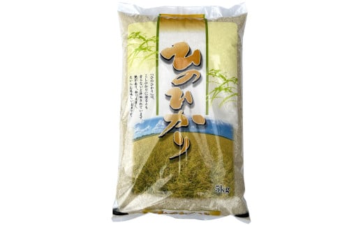 CS-224 【奇数月3回定期便】【KODAMAFARMS】ひのひかり5kg（計15kg） 米 新米 精米 白米 お米