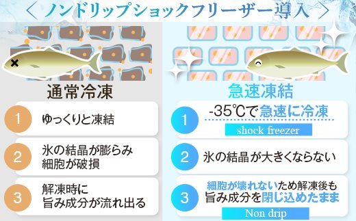 AS-139 天然きびなご漁師漬け 日笠山水産 煎茶･ﾈｷﾞ胡麻･海苔付