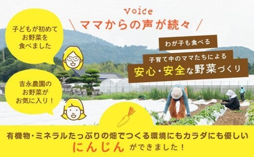 ZS-682-2 【訳あり】【冷蔵便】かごしま美味人参 愛紅 7kg 【2024年12月1日～2025年2月末までに発送】  にんじん ニンジン