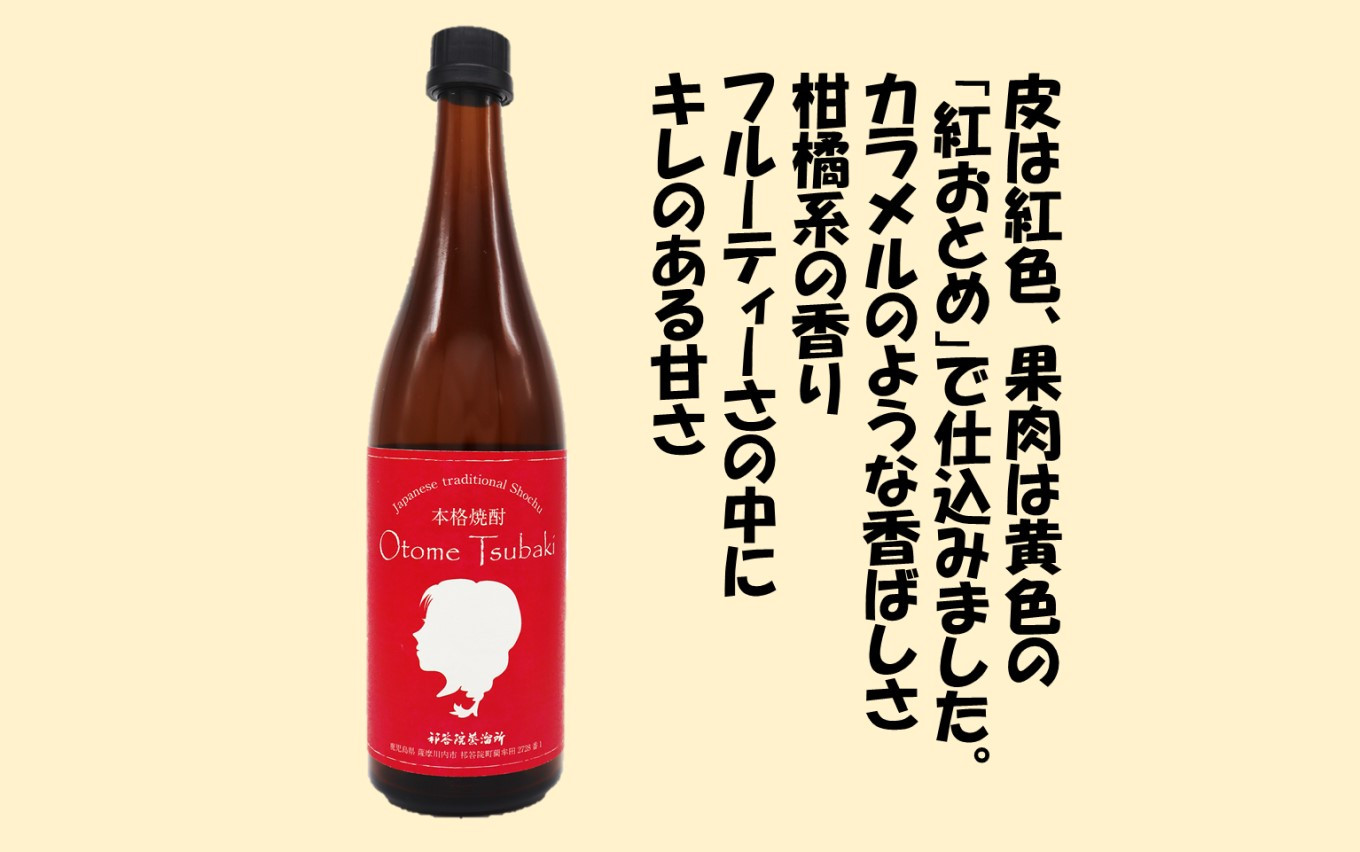 AS-528 【鹿児島の本格焼酎】甑島小町・Otome Tsubaki 飲み比べ セット