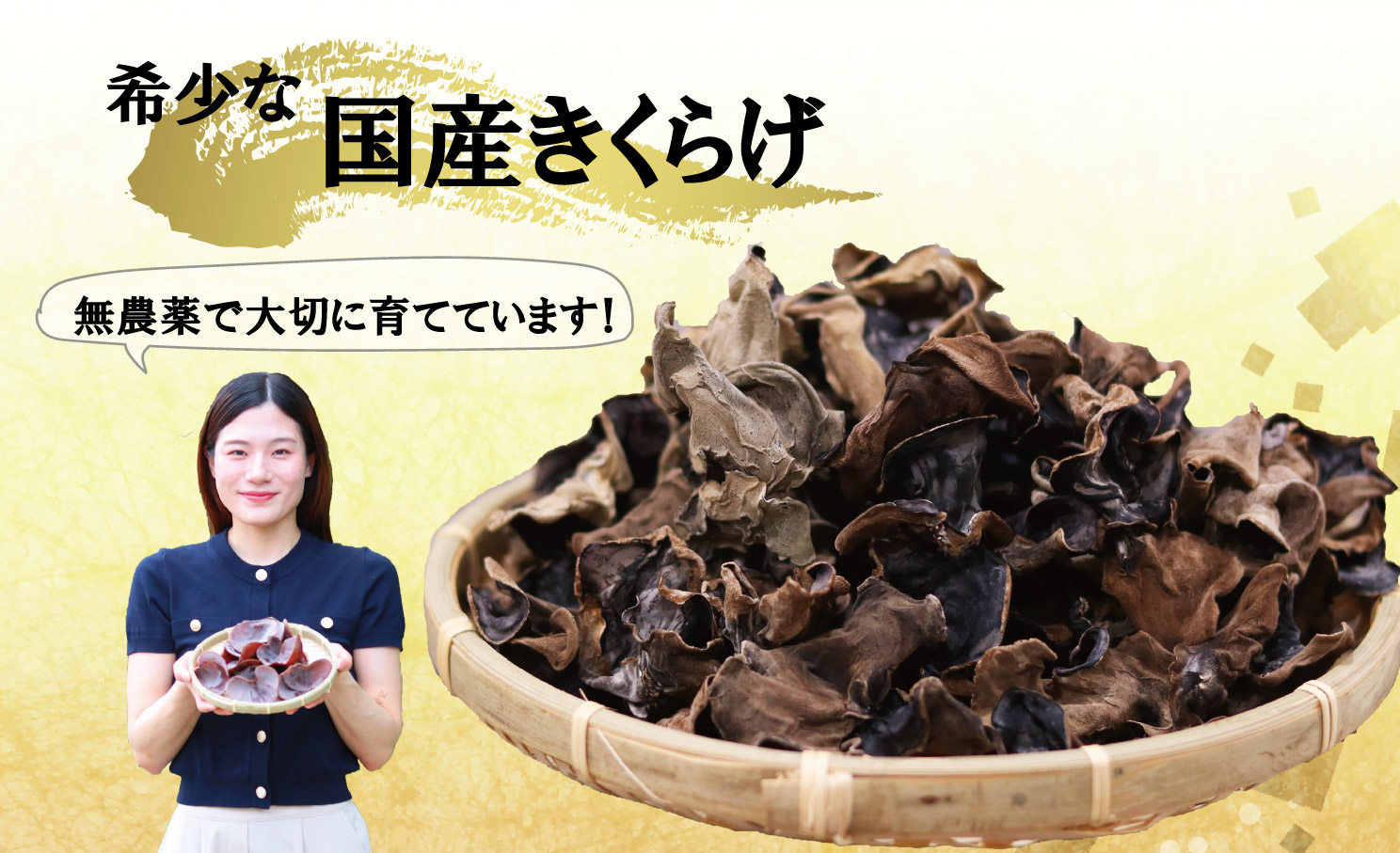 鹿児島県産天日干し乾燥きくらげ 合計200g 国産 乾燥きくらげ 野菜 きのこ 健康 食物繊維 低カロリー エムズ わか農園 サラダ みそ汁 スープ 炒め物 煮物 和え物 鹿児島県 薩摩川内市 送料無料 AS-4112