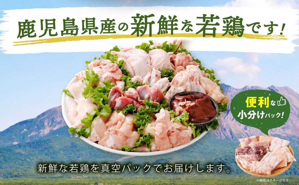 鹿å
å³¶çç£ è¥é¶ãŸãããš çŽ3.05kgã»ãã è¥é¶ ããè ã¢ã¢è ã«ãã ããè ããã¿ ç è è æçŸœå
æçŸœäž æçŸœå
è©è ããã 骚ä»ãããè å°åã é¶è å·å AS-797