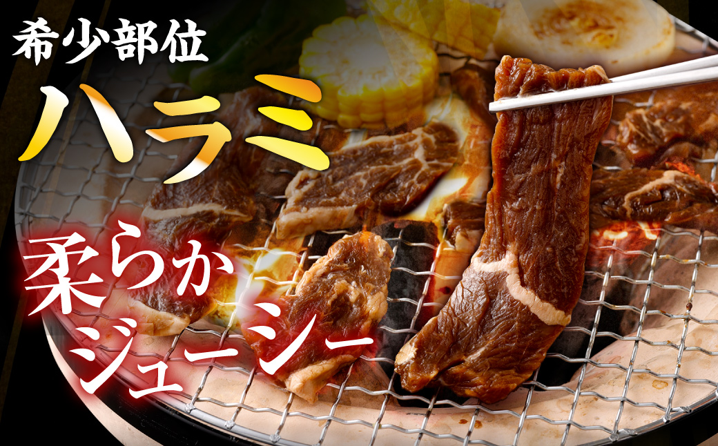 やわらか 牛ハラミ（サガリ）肉 極旨秘伝醤油タレ漬け 合計3.0kg（300g×10袋）【訳あり】ハラミ 牛肉 BS-147