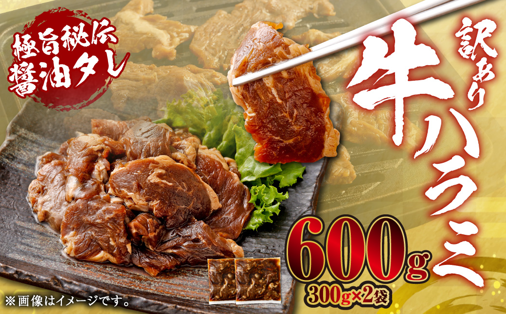 やわらか 牛ハラミ（サガリ）肉 極旨秘伝醤油タレ漬け 合計600g（300g×2袋）【訳あり】ハラミ 牛肉 ZS-6122