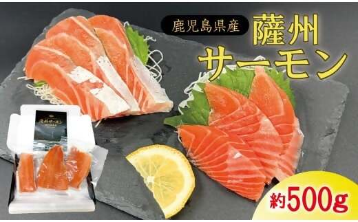 薩州サーモン 500g 鹿児島 国産 養殖 サーモン  AS-2228