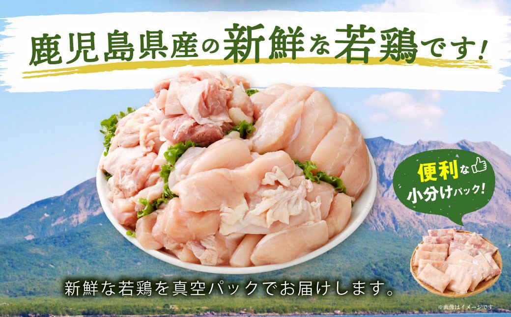鹿å
å³¶çç£ è¥é¶ çŽ4kg ããã°ã»ãã è¥é¶ ããè ã¢ã¢è ããè ã«ãã ããã¿ çŒè å°åã é¶è å·å BS-149