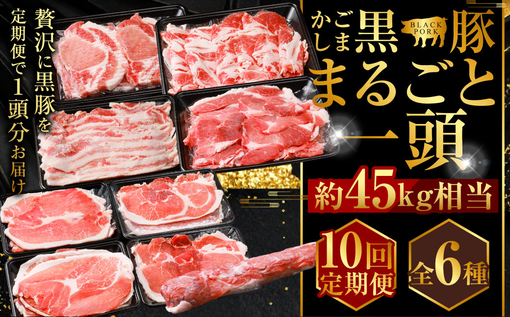 【10回定期便】かごしま黒豚1頭まるごと 約45kg 生産者直送 鹿児島 黒豚 まるごと １頭 定期便 豚肉 薩摩八重ファーム 工房みかく亭 MSR-601