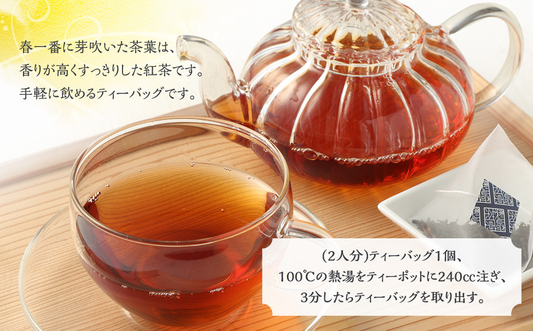AS-742 春摘み紅茶3袋セット(ティーポット用ティーバックタイプ) 春摘み紅茶 3袋 崎原製茶