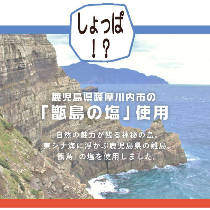 AS-144 甘じょっぱさがクセになる 塩チョコ 10箱