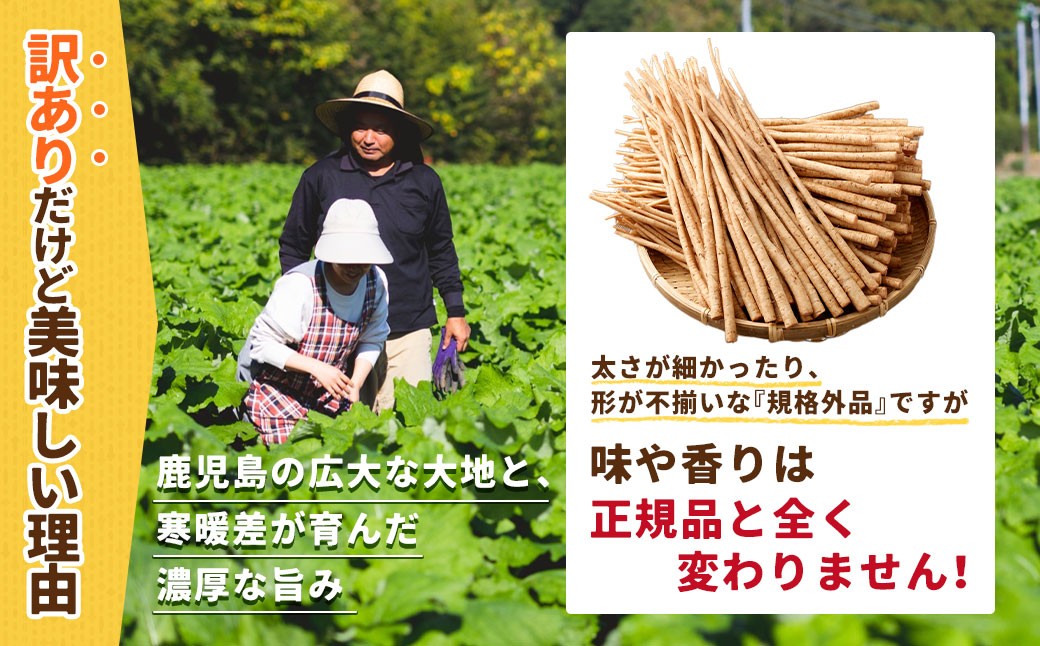 鹿å
å³¶çç£ æŽãã现ãã ããŒã çŽ3kg ãèŠæ Œå€ã»èš³ããåãã2026幎12æäžæ¬-3æäžæ¬çºéäºå®ã ZS-9101