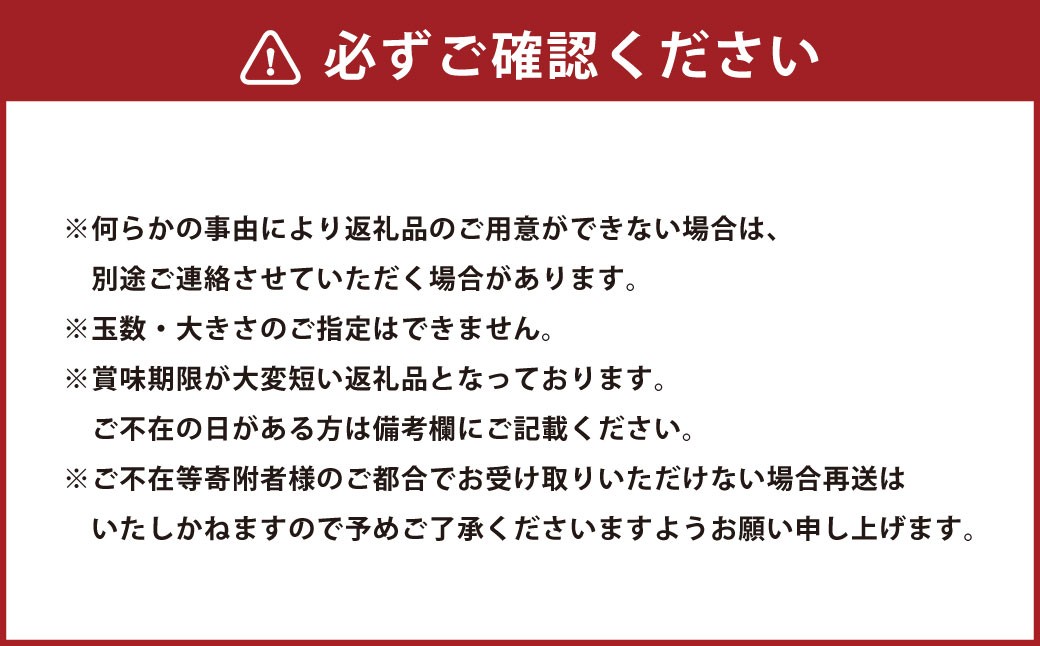 訳ありトマト 8～14玉 （約2kg）【2027年1月中旬～5月下旬発送予定】 トマト 訳あり とまと 野菜 新鮮 新鮮野菜 ZS-995