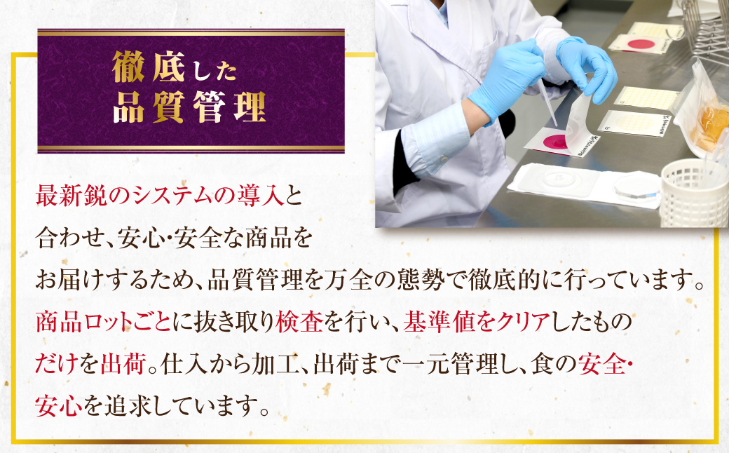 AS-840 九州産うなぎ蒲焼 2尾 食べごたえある2人前