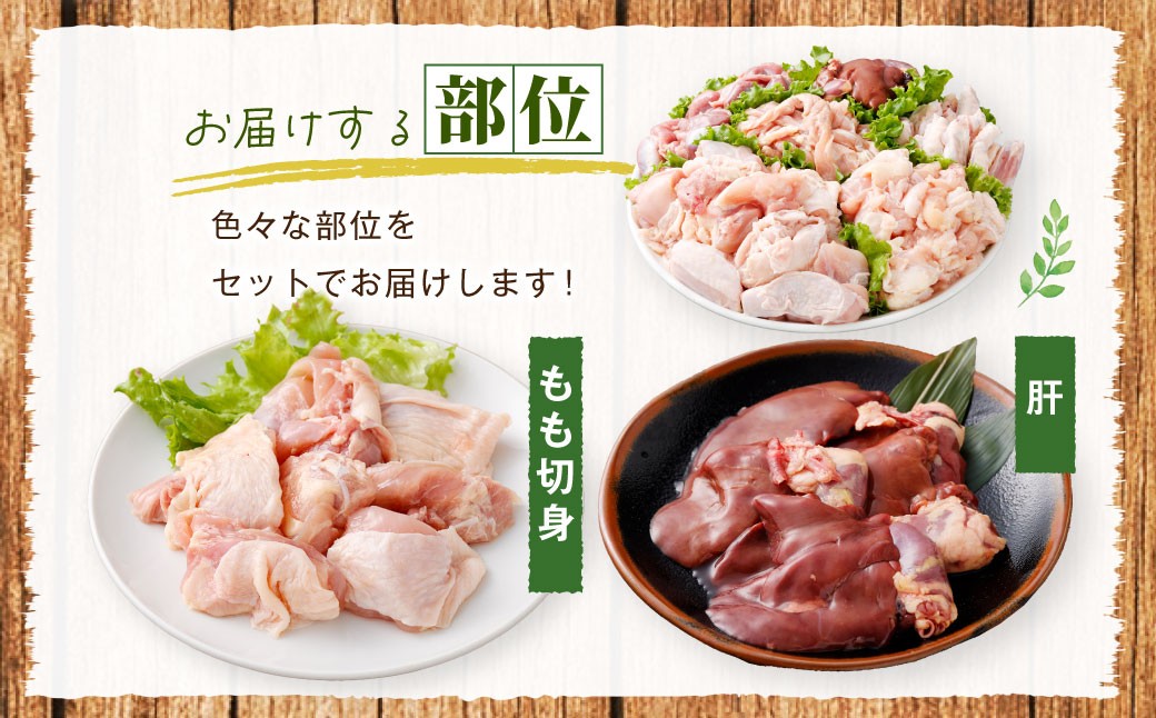 鹿児島県産 若鶏焼肉 約4.2kgセット 若鶏 もも肉 モモ肉 カット 肝 砂肝 手羽中 せせり 焼肉 小分け 鶏肉 冷凍 BS-226