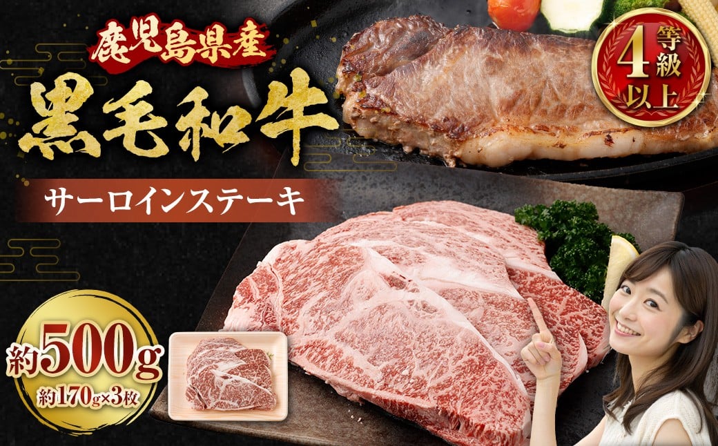 【鹿児島県産】黒毛和牛 サーロインステーキ 約500g （約170g×3枚） お肉 にく ニク 牛肉 サーロイン ステーキ 冷凍 鹿児島県 薩摩川内市 BS-3122
