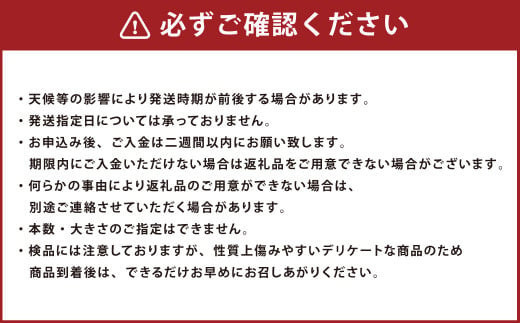 ZS-714 鹿児島県産 土付きごぼう 約2kg【2025年1月上旬～3月下旬発送予定】