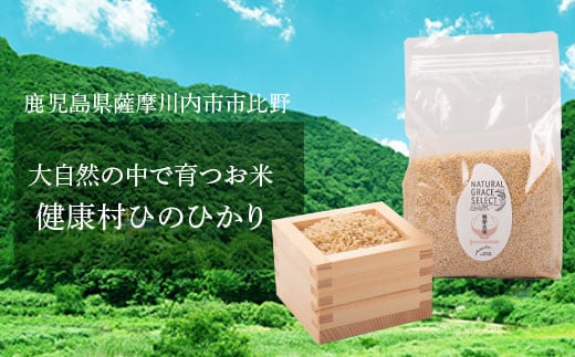 BS-206 発芽玄米 4kg(1kg×4袋)
