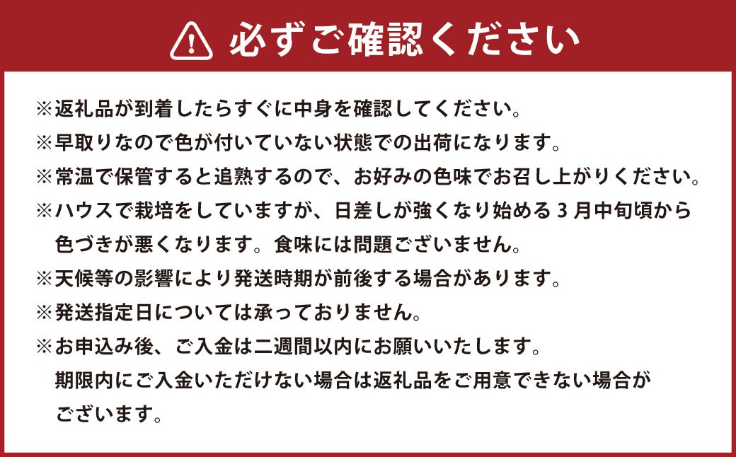 訳ありトマト 8～14玉 （約2kg）【2027年1月中旬～5月下旬発送予定】 トマト 訳あり とまと 野菜 新鮮 新鮮野菜 ZS-995