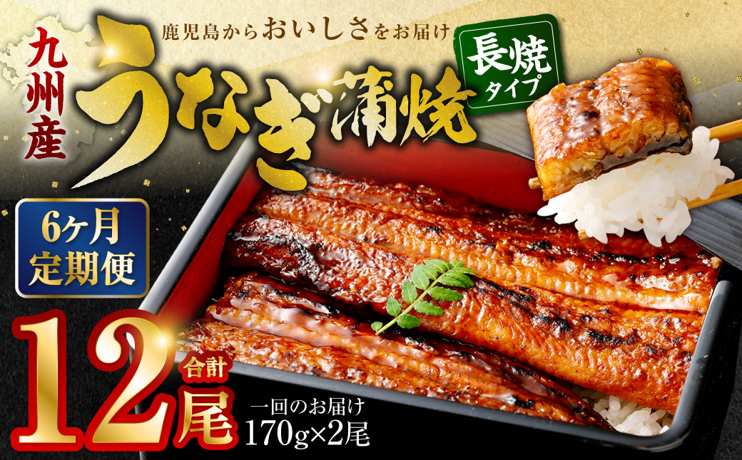 IS-210ã6ã«æå®æäŸ¿ãä¹å·ç£ ããªãè²çŒ (çŽ170gÃ2å°Ÿ 6å) èš12å°Ÿ ããªã è²çŒ 鹿å
å³¶ç è©æ©å·å
åž