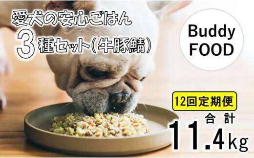 JS-314【12ヶ月定期便】完全国産・獣医師オススメの愛犬の安心ごはん【Buddy FOOD バディフード】 3種セットC（牛豚鯖）