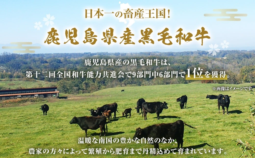 【3回定期便】【鹿児島県産】黒毛和牛 赤身ももスライス 1.2kg（400g×3パック）×3回 お肉 にく ニク 牛肉 赤身 もも モモ スライス 冷凍 定期便 鹿児島県 薩摩川内市 GS-039