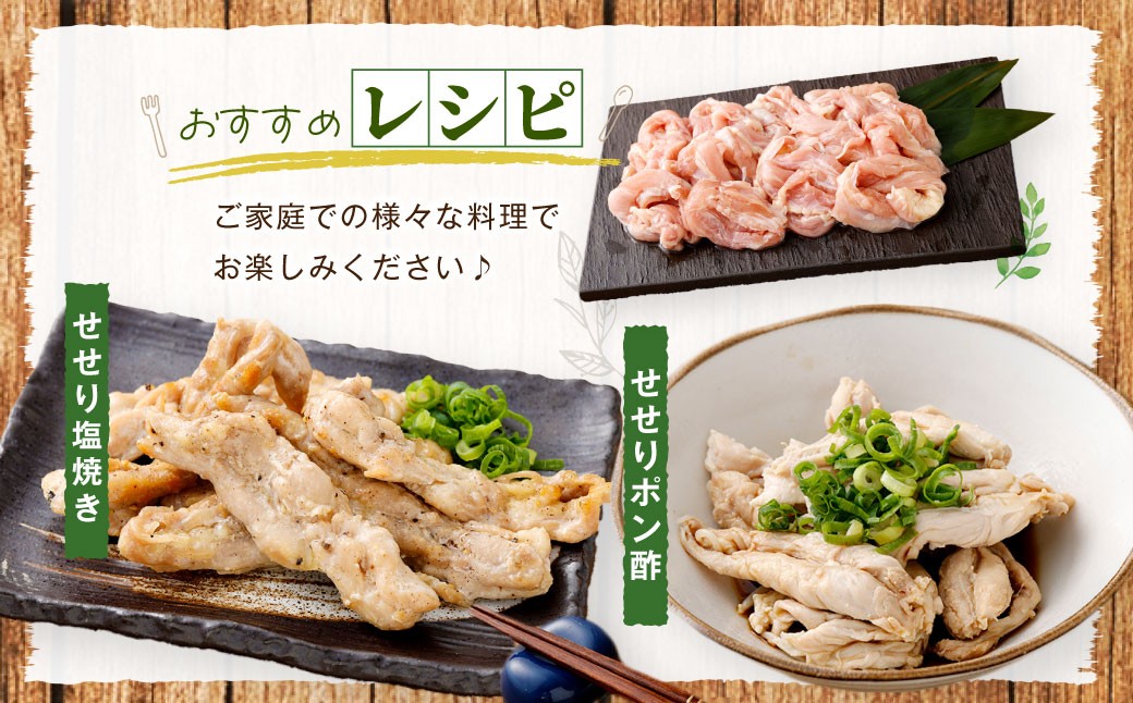 鹿児島県産 若鶏 小肉 （せせり）約3kg セット セセリ 鶏肉 冷凍 BS-399