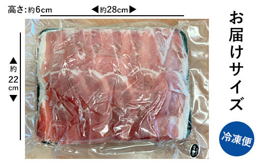 CSR-024 【定期便】鹿児島県産 黒豚 しゃぶしゃぶ用 1.1kg×3回 計3.3kg 豚肉