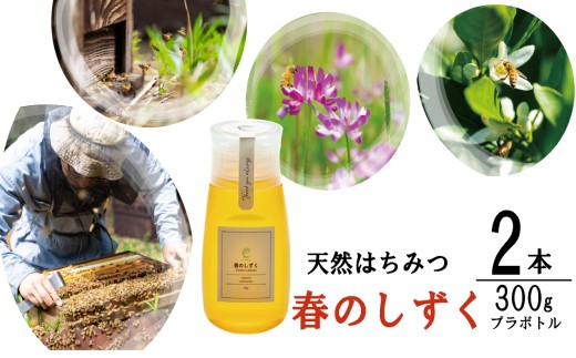 春のしずく2本セット 合計600g (300g×2本) 百花蜜 はちみつ 蜂蜜 ハチミツ ミツバチ みつばち 蜜蜂 小分け 小分 便利 鹿児島 鹿児島県産 薩摩川内市 ふるさと納税