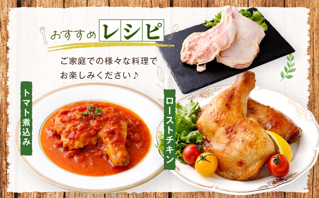 鹿児島県産 骨付きもも 10本セット 若鶏 骨付き 骨付鳥 もも肉 モモ肉 鶏肉 冷凍 AS-4100