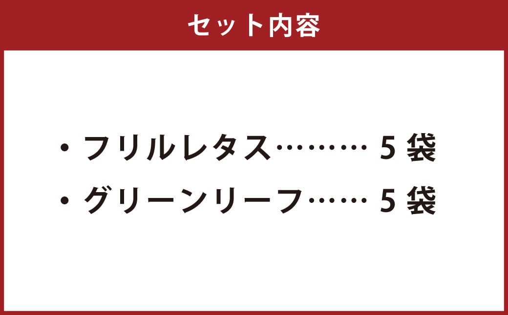 ZS-536 フリルレタス、グリーンリーフ詰合せ（10袋セット） フリルレタス グリーンリーフ 野菜 葉物 セット 朝採れ 新鮮