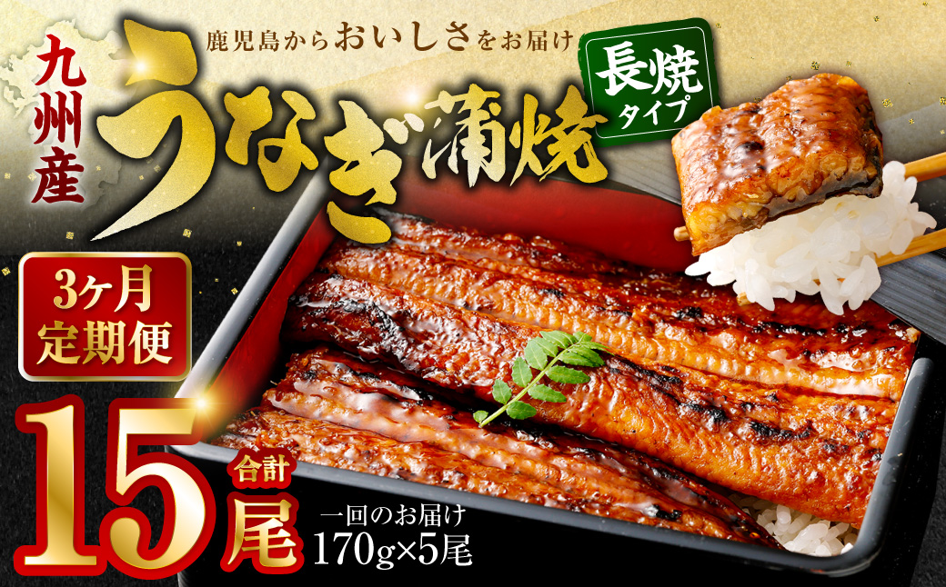 JS-224【3カ月定期便】 九州産うなぎ蒲焼 約170g×5尾×3回