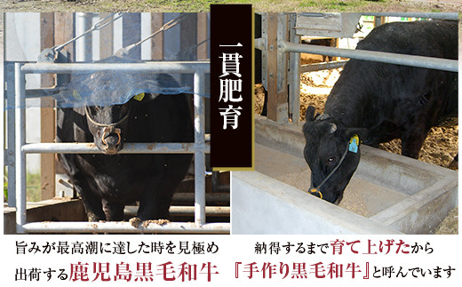 DS-607 鹿児島県産黒毛和牛しゃぶしゃぶ 600g Bｾｯﾄ 名産鹿児島和牛かんだ本店
